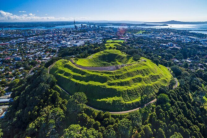 Private Auckland Shore Excursion: Half-Day City Highlights - First Impressions: Convenience and Comfort