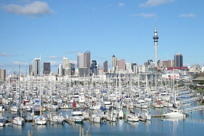 Private Auckland Shore Excursion: Half-Day City Highlights - Natural Wonders and Cultural Sites