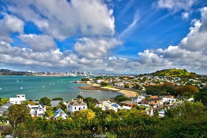 Private Auckland Shore Excursion: Half-Day City Highlights - Coastal Drives and Scenic Lookouts