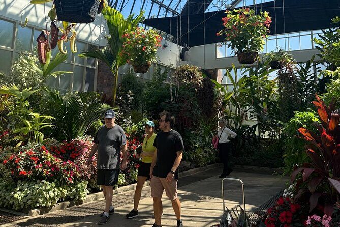 Private Auckland Shore Excursion: Half-Day City Highlights - What Reviewers Say