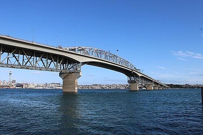 Private Auckland Shore Excursion: Half-Day City Highlights - Who Should Consider This Tour?