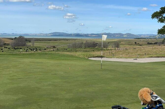 [PRIVATE] Auckland Signature Golf - Who Is This Tour Best Suited For?