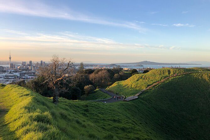 Private Auckland Tour - Key Points