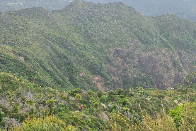 Private Auckland West Coast Karekare Falls, Rainforest and Piha - FAQ