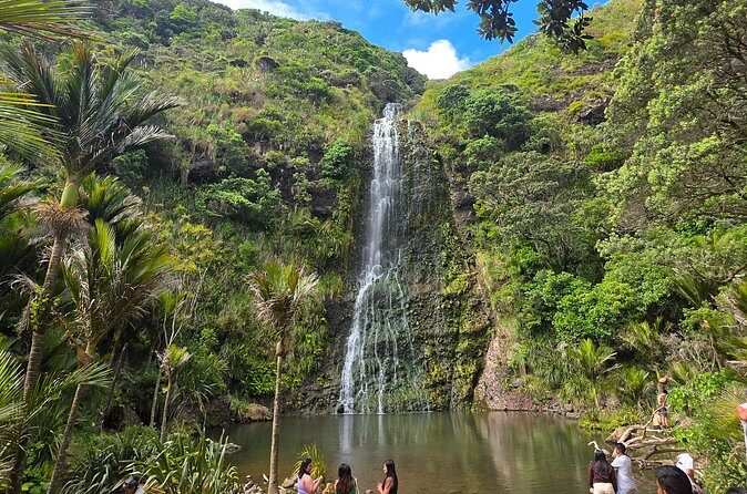 Private Auckland West Coast Tour Piha Beach and Karekare Falls - Transport and Schedule