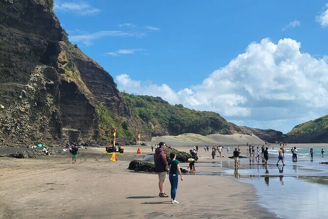 Private Auckland West Coast Tour Piha Beach and Karekare Falls - Value for Money