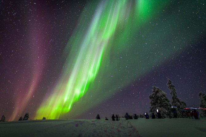 private-aurora-tour-5-or-more-by-aurora-experts-rovaniemi