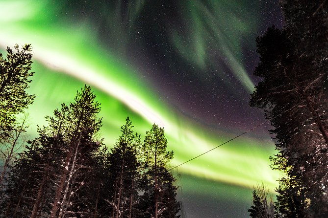 private-aurora-tour-5-or-more-by-aurora-experts-rovaniemi