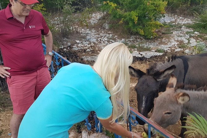 private-authentic-family-home-local-food-day-trip-from-dubrovnik