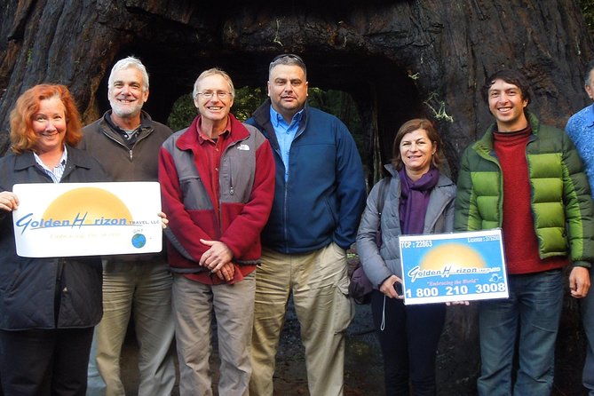 private-avenue-of-the-giants-redwoods-day-trip-from-san-francisco