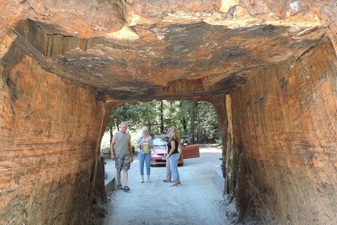 private-avenue-of-the-giants-redwoods-day-trip-from-san-francisco