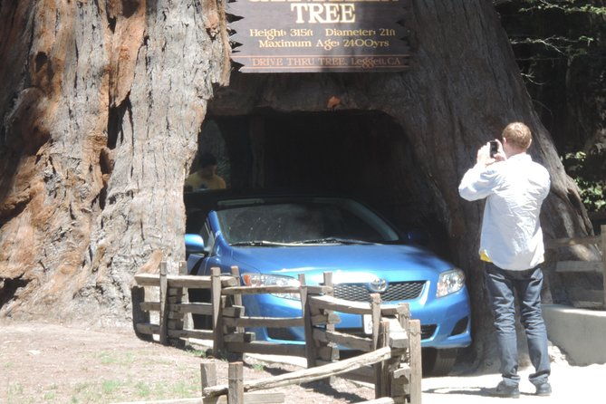 private-avenue-of-the-giants-redwoods-day-trip-from-san-francisco