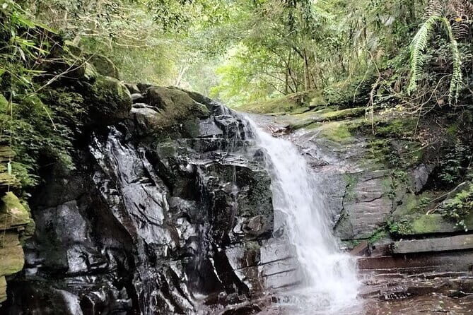 Private Bach Ma National Park Day Trip from Hoi An/Da Nang or Hue - Key Points