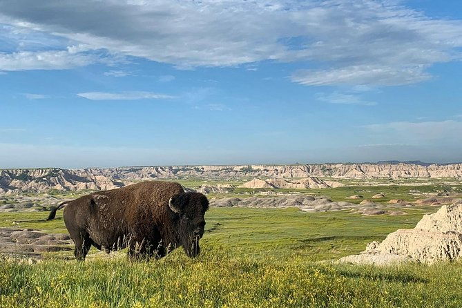 private-badlands-national-park-day-tour