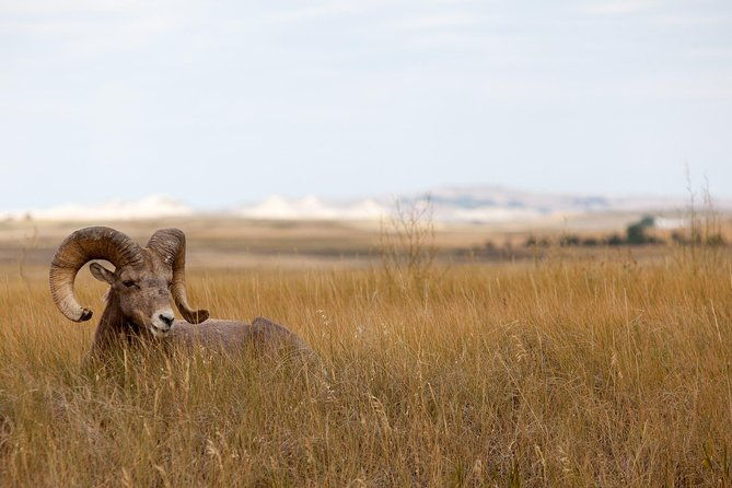 private-badlands-national-park-day-tour