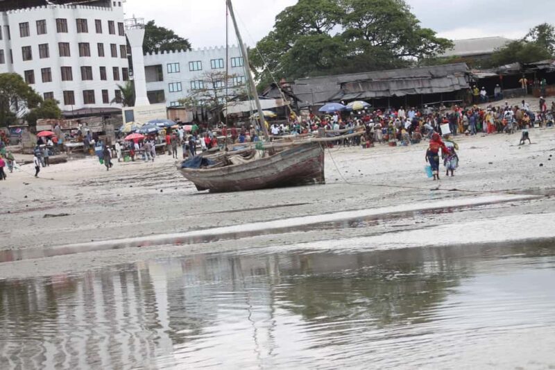 Private Bagamoyo Day Trip with Lunch - A Detailed Look at the Bagamoyo Day Trip