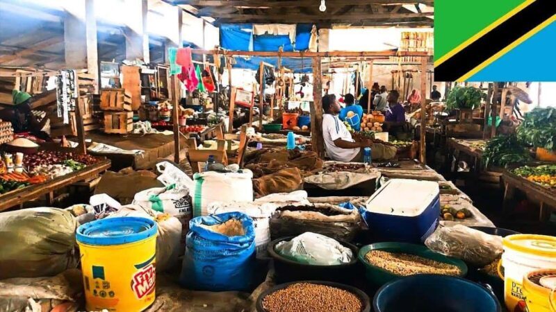 Private Bagamoyo Day Trip with Lunch - Who Will Love This Tour?