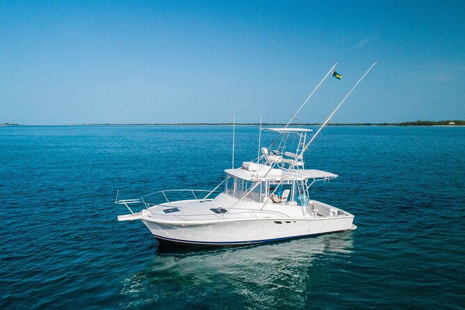 private-bahamas-half-day-fishing-tour-from-new-providence