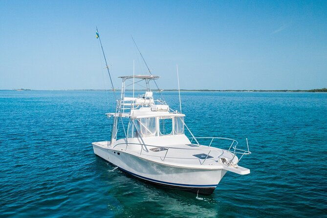 private-bahamas-half-day-fishing-tour-from-new-providence