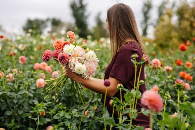 Private Bainbridge Island Discovery and Wine Tour - Exploring Bainbridge Island: A Locals Private Discovery and Wine Tour