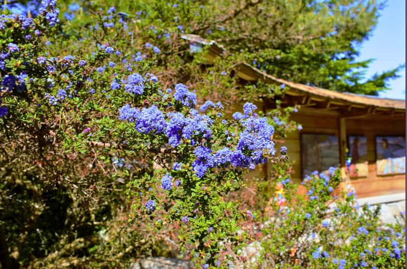 Private Bainbridge Island Discovery Tour - Key Points
