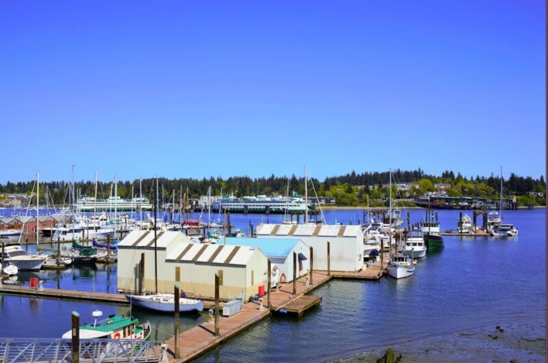 Private Bainbridge Island Discovery Tour - Why Choose This Tour?
