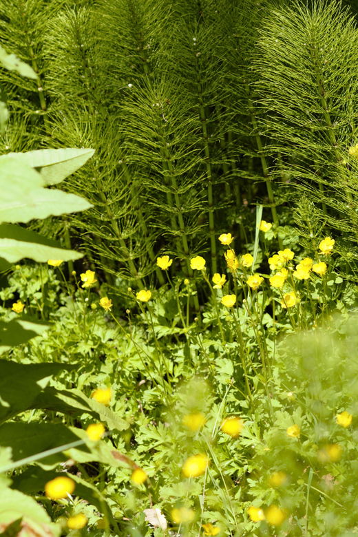 private-bainbridge-island-discovery-tour