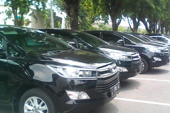 Private Bali Airport Departure Transfer: Hotel to Airport (Departure) - Who Is This Service Best For?