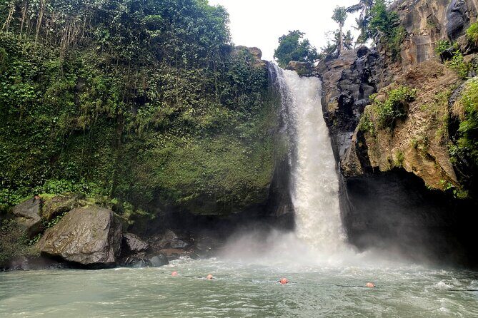 Private Bali Custom Tour Full Day with English-Speaking Driver - Key Points