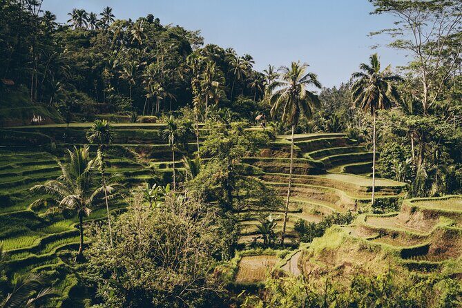 Private Bali Custom Tour Full Day with English-Speaking Driver - The Value of This Tour