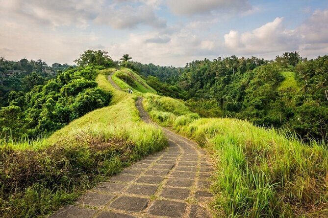 Private Bali Customizable Tour with a Local Guide - Who’s This Tour Best For?