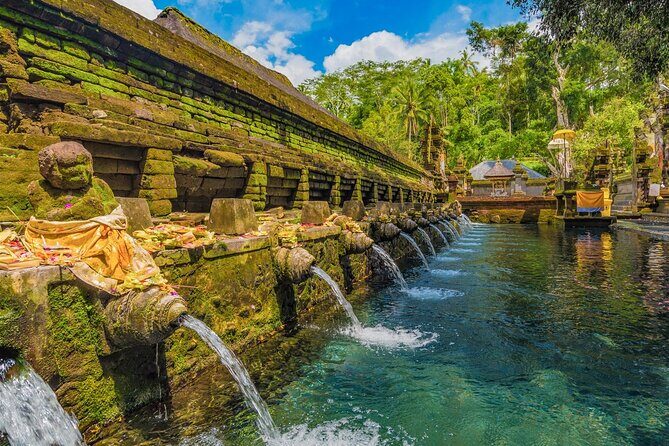 Private Bali Heritage Tour to Kamasan and Kerta Gosa - Exploring the Tour: What to Expect