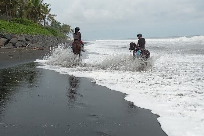 Private Bali Horse ride - An In-Depth Look at the Bali Horse Ride Experience