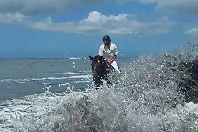 Private Bali Horse riding at saba beach - Final Thoughts: Is It Worth It?
