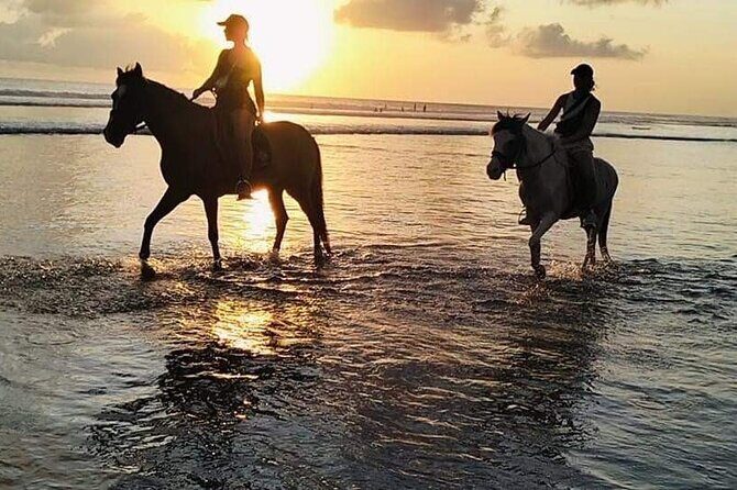 Private Bali Horse riding at saba beach - FAQs