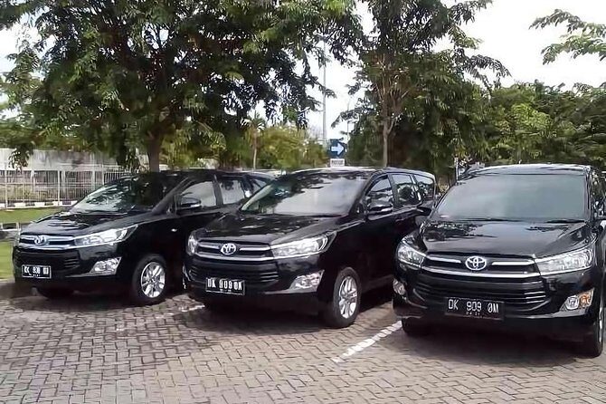 Private Bali Hotel Transfer: Hotel to Hotel - A Closer Look at the Reviews