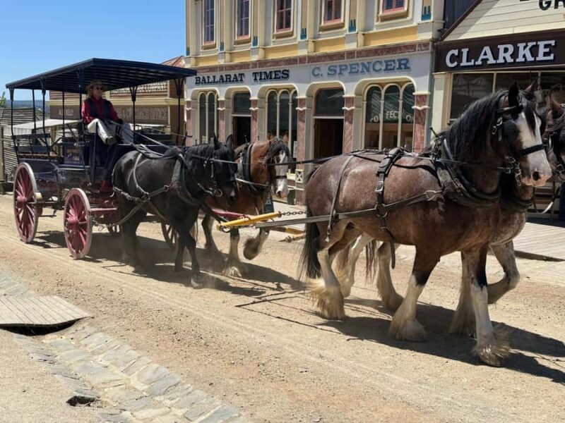 Private Ballarat Sovereign Hill Gold Mine Tours - Introduction to the Tour