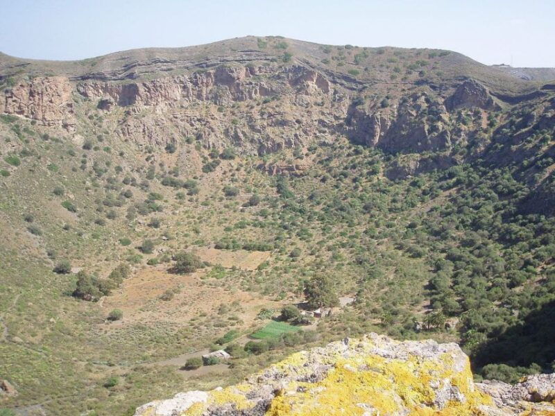 private-bandama-caldera-botanic-garden-wine-old-town
