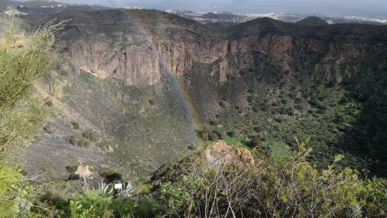 private-bandama-caldera-botanic-garden-wine-old-town