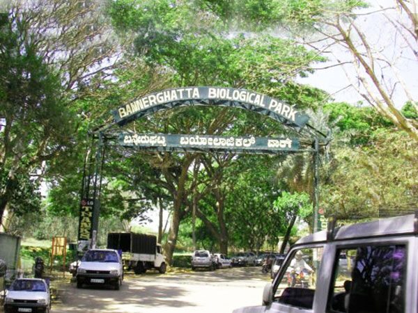Private Bannerghatta National Park Day Excursion - Timing & Logistics
