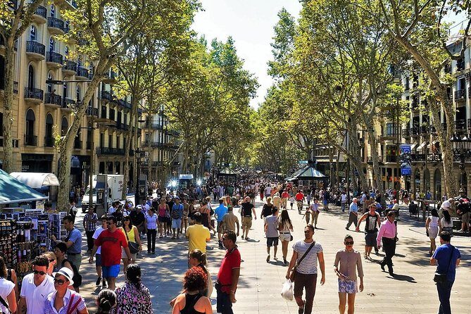 Private Barcelona and Park Güell Tour with hotel Pick-up - Who Would Love This Tour?