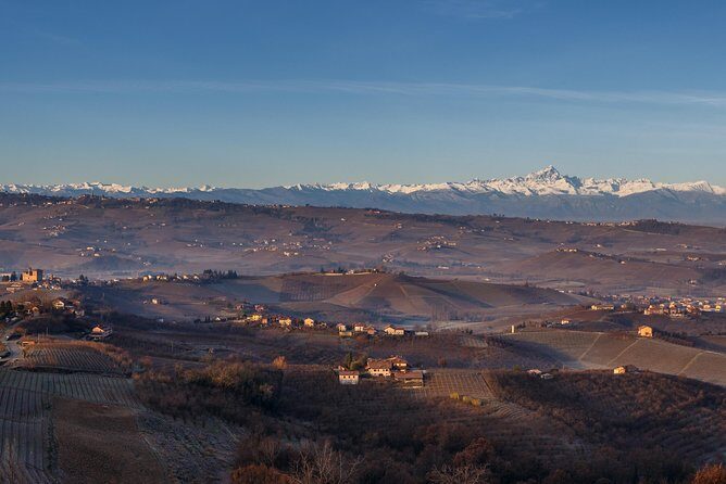 Private Barolo / Barbaresco - Piedmont Wine Tours and Tastings - Exploring Piedmont’s Finest: A Review of the Private Barolo / Barbaresco Wine Tour