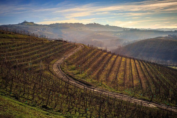 Private Barolo / Barbaresco - Piedmont Wine Tours and Tastings - The Value of a Private Tour