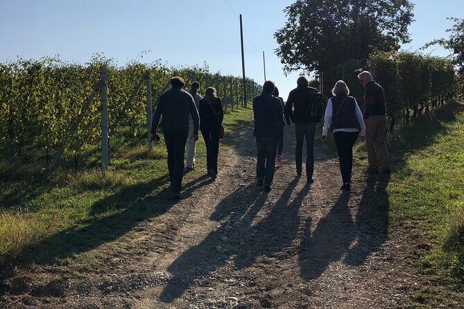 Private Barolo / Barbaresco - Piedmont Wine Tours and Tastings - Who Would Love This Tour?