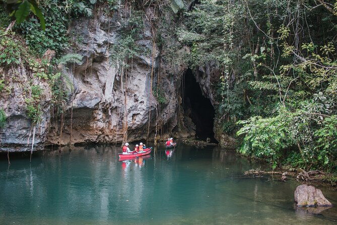 private-barton-creek-butterfly-ranch-tour