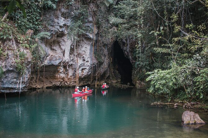 private-barton-creek-butterfly-ranch-tour