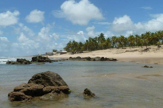 private-beach-buggy-tour-praia-do-forte-by-emytour