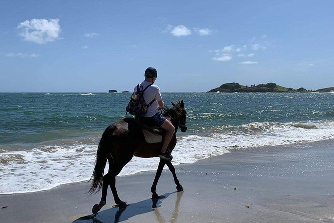 private-beach-horseback-ride-with-sandy-hoofs-st-lucia
