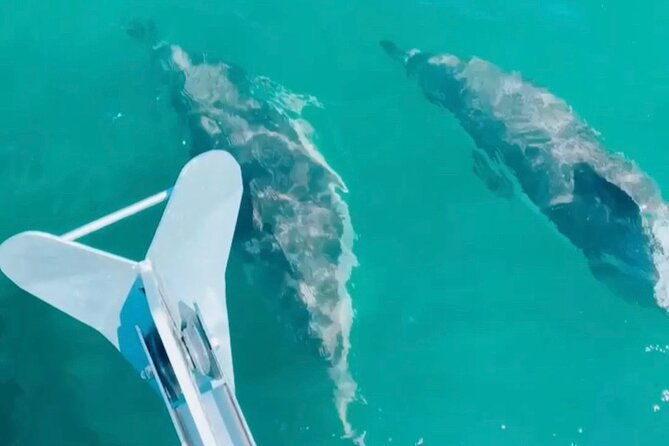 private-beach-tour-on-a-luxury-sailing-boat-in-lisbon