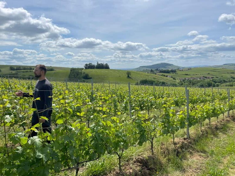 Private Beaujolais Wine Tour - Introduction